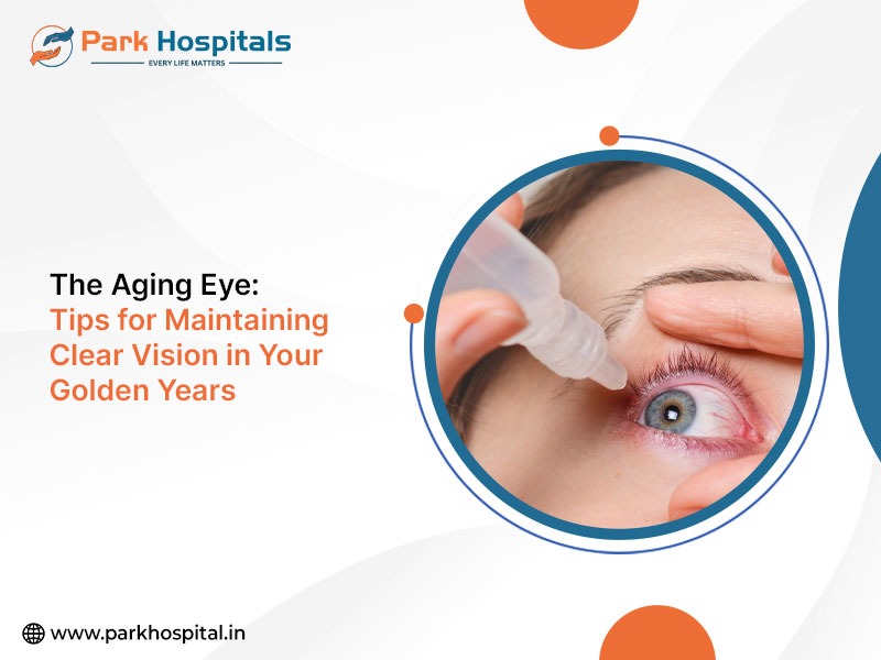 The Aging Eye: Tips for Maintaining Clear Vision in Your Golden Years